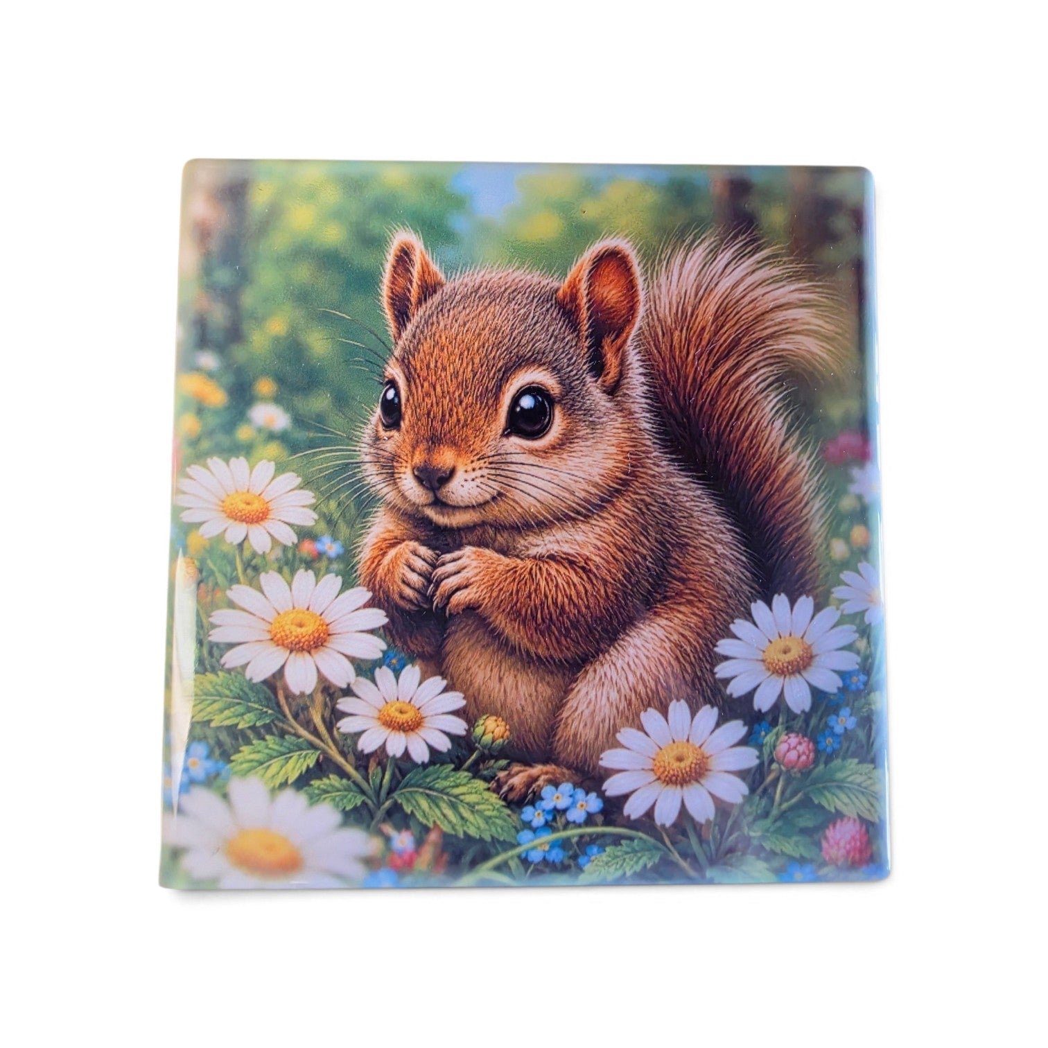 Cute Baby Squirrel Ceramic Coaster