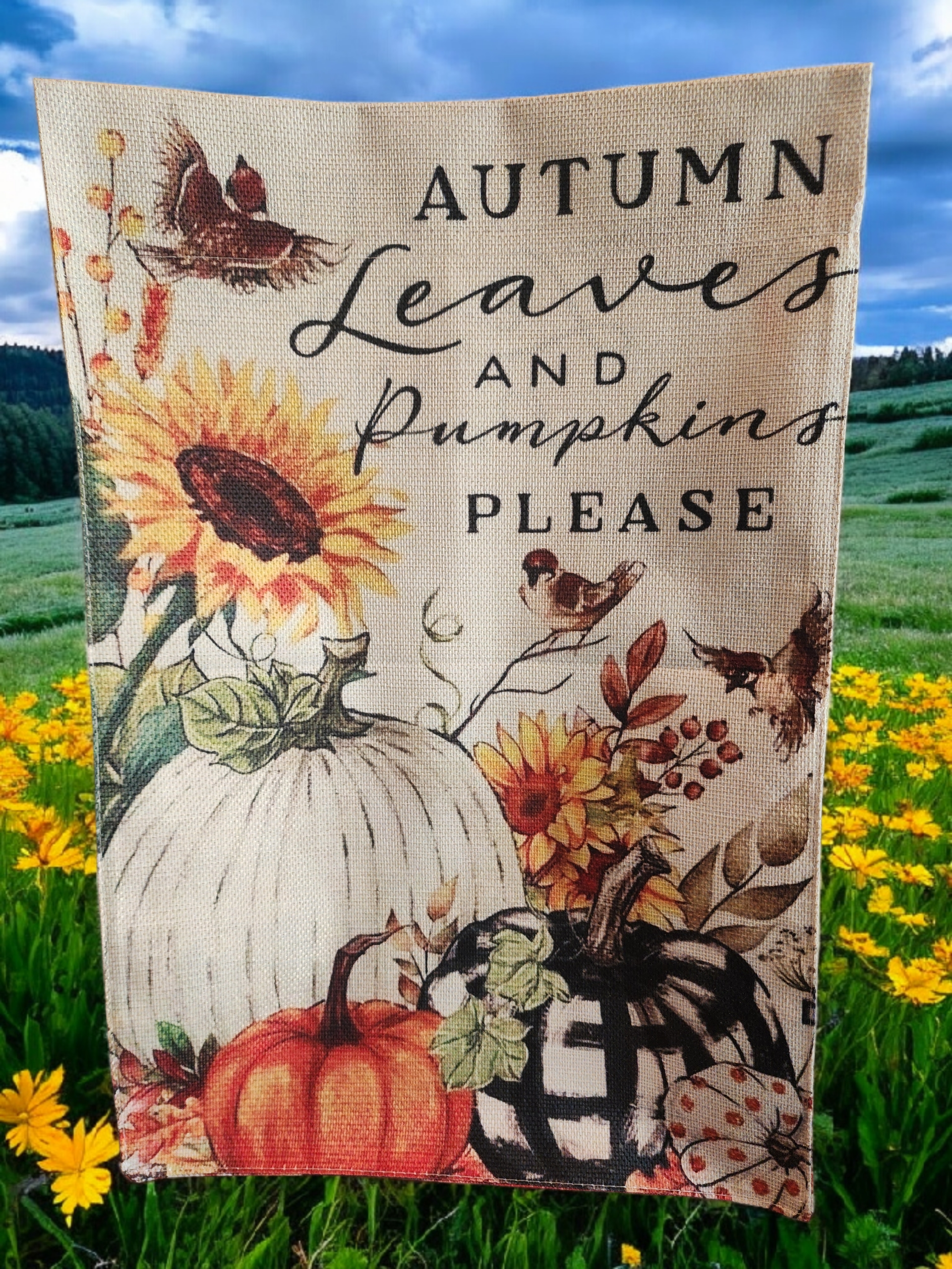 12 x 18 Garden Flag - Autumn Leaves and Pumpkins Please